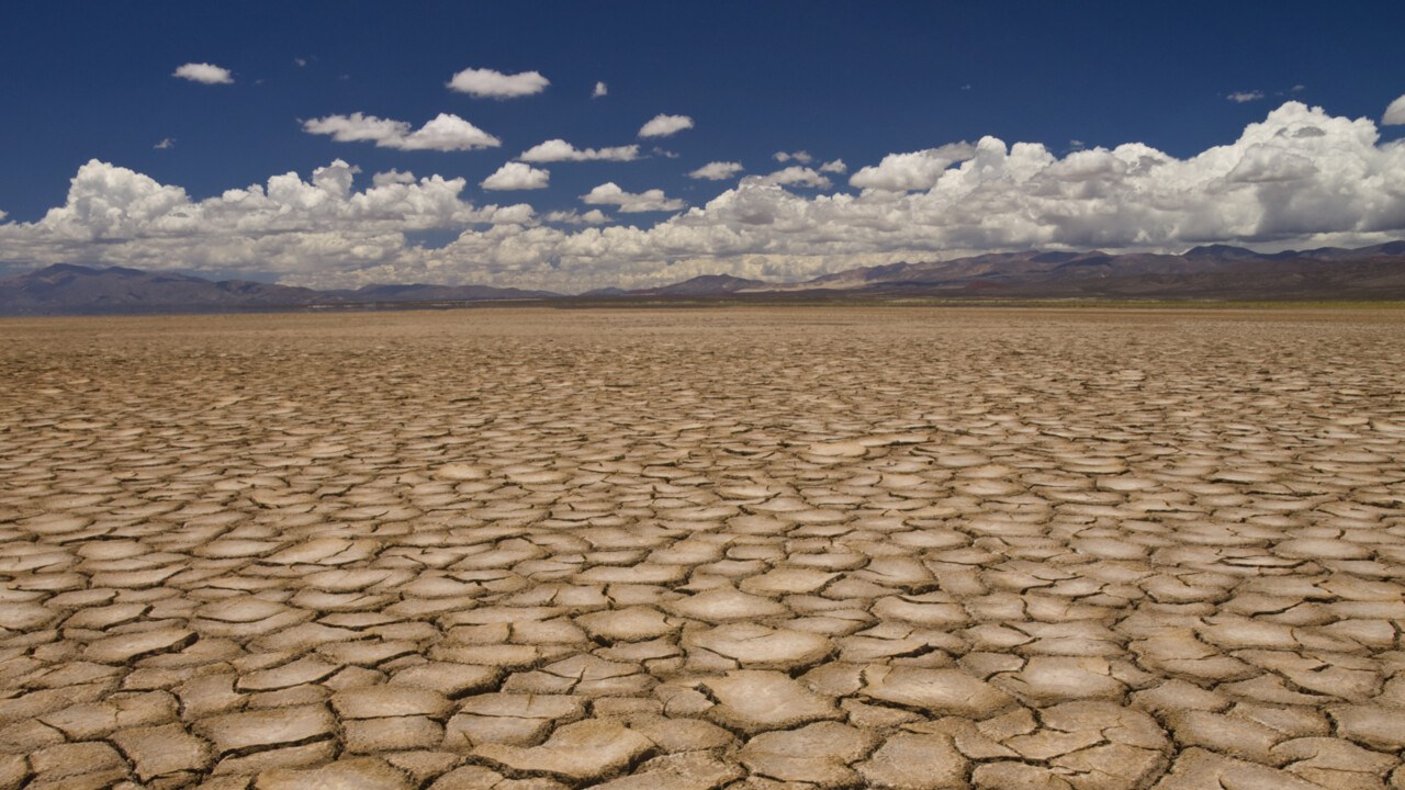 Bild p&aring; torkan